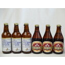 クラフトビールパーティ6本セットプラチナエール330ml ミツボシペールエール330ml