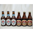 クラフトビールパーティ6本セット常陸野ネストホワイトエール330ml×3　ミツボシビール　ペールエール330ml×3