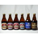 コエドビール ビール クラフトビールパーティ6本セット　コエドKyara333ml　コエドRuri333ml　ミツボシヴァイツェン330ml　ミツボシウィンナスタイルラガー330ml　ミツボシピルスナー330ml　ミツボシペールエール330ml