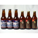 クラフトビールパーティ6本セット IPA感謝ビール330ml×3本 横浜ラガー330ml×3本