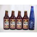 【最大2000円オフクーポン11日1:59迄】クラフトビールパーティ5本セット 金しゃちアルト330ml×4本 日本酒スパークリング清酒(澪300ml)