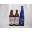 【最大2000円オフクーポン11日1:59迄】クラフトビールパーティ3本セット プラチナエール330ml×2本 日本酒スパークリング清酒(澪300ml)
