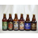 コエドビール ビール クラフトビールパーティ6本セット　IPA330ml　名古屋赤味噌ラガー330ml　金しゃちピルスナー330ml　金しゃちアルト330ml　コエドKyara333ml　コエドRuri333ml