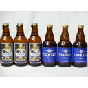 コエドビール ビール クラフトビールパーティ6本セット　金しゃちピルスナー330ml×3本　コエドRuri333ml×3本