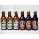 クラフトビールパーティ6本セット 金しゃちピルスナー330ml×3本 インペリアル・スタウト330ml×3本