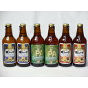 クラフトビールパーティ6本セット　金しゃちピルスナー330ml×2本　IPA330ml×2本　金しゃちアルト330ml×2本