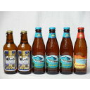 クラフトビールパーティ6本セット 金しゃちピルスナー330ml×2本 ハワイコナビールビッグウェーブ・ゴールデンエール355ml×3本 ハワイコナビールロングボ...