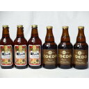 コエドビール ビール クラフトビールパーティ6本セット　金しゃちアルト330ml×3本　コエドKyara333ml×3本