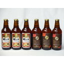 クラフトビールパーティ6本セット 金しゃちアルト330ml×3本 IPA感謝ビール330mll×3本(4)