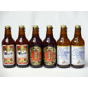クラフトビールパーティ6本セット 金しゃちアルト330ml×2本 名古屋赤味噌ラガー330ml×2本 プラチナエール330ml×2本