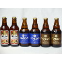 クラフトビールパーティ6本セット　金しゃちアルト330ml×2本　コエドKyara333ml×2本　コエドRuri333ml×2本