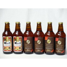 クラフトビールパーティ6本セット　金しゃちアルト330ml×2本　IPA感謝ビール330mll×4本