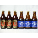 コエドビール ビール クラフトビールパーティ6本セット　名古屋赤味噌ラガー330ml×3本　コエドRuri333ml×3本