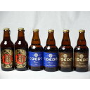 コエドビール ビール クラフトビールパーティ6本セット　名古屋赤味噌ラガー330ml×2本　コエドKyara333ml×2本　コエドRuri333ml×2本