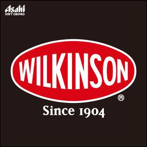 32本 アサヒ飲料 ウィルキンソン ジンジャエール（ドライ） 炭酸水 WILKINSON 500ml×32本 3