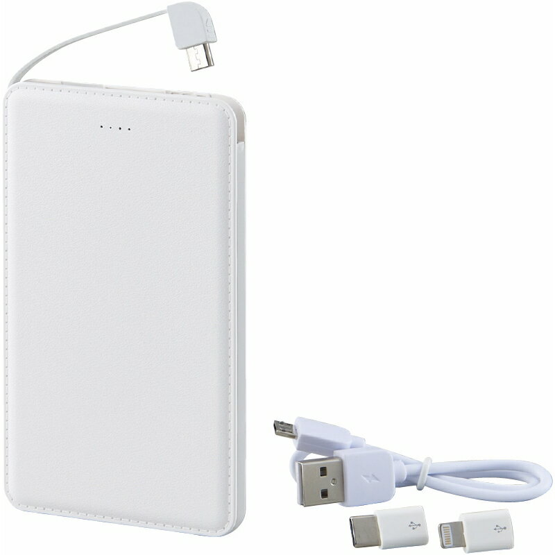 夏の贈り物お中元 モバイルバッテリー5000mAh（iPhone・USB Type-C用アダプター付） 0.9×6.8×12cm