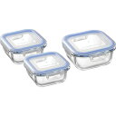 夏の贈り物お中元 耐熱ガラス容器3Pセット レッシュ 正角型小(12×12×5.8cm・300ml)×2、正角型大(14×14×6.5cm・510ml)×1