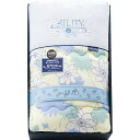 夏の贈り物お中元 東レ抗菌防臭わた(セベリス)入り 肌掛ふとん AILITY ブルー 140×190cm