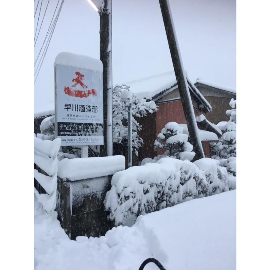 �Ƥλ�̣�褤���ܼ�3�ܥ��å�(�����¤��ŷ�� ���Ƽ� (���Ÿ�) ������ ���Ƽ� (��긩) ���ļ�¤ ζ�� ���Ķ����̽��Ƽ�(ʼ�˸�)) 1800ml��3��