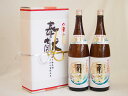 地鎮祭用奉献酒 兵庫県日本酒2本セット(本田酒造 龍力特別本醸造1800ml×2本)デザイン書道家 榮田清峰作一デザイン2番(金銀水引・文化タイプ)