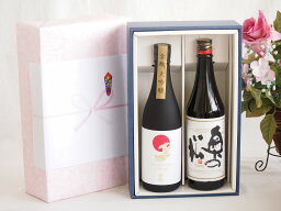 贅沢な日本酒感謝ボックス2本セット(奥の松純米吟醸(福島) 金鯱大吟醸(愛知)) 720ml×2本