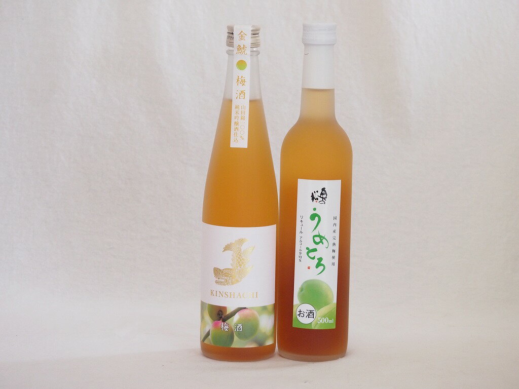 笑顔になるリキュール2本セット(純米吟醸酒仕込梅酒 うめとろ) 500ml×2本