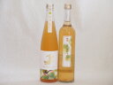 【最大2000円オフクーポン11日1:59迄】探し出した梅酒2本セット(純米吟醸酒仕込梅酒 生姜梅酒) 500ml×2本