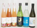 愛知県金鯱梅酒と日本酒6本セット(山田錦吟醸ブレンド グレープフルーツ酒 日本酒ブレンドパッションフルーツ 日本酒ブレンド苺酒 吟醸原酒生貯山田錦 純米夢吟香 ...