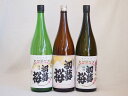 【最大2000円オフクーポン26日1:59迄】金鯱スペシャル3本セット(金鯱 初夢桜 純米 金鯱 初夢桜 純米吟醸 金鯱 初夢桜 上撰) 1800ml×3本