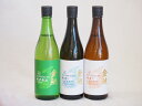 【最大2000円オフクーポン26日1:59迄】年一度の限定日本酒 金鯱スペシャル3本セット(国産米100%新米新酒生貯蔵 夢吟香100%寒造りしぼりたて特別純米生貯蔵 夢吟香100%寒造りしぼりたて本醸造生貯蔵) 720ml×3本