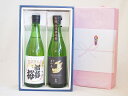 【最大2000円オフクーポン11日1:59迄】夏の贈り物お中元 日本酒 夏の贈り物お中元 感謝贈り物ボックス2本セット(金鯱 純米夢吟香 金鯱 初夢桜 純米) 720ml×2本