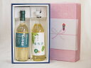 夏の贈り物お中元 感謝贈り物白ワインボックス2本セット(からだにやさしい白葡萄酒白ワインやや甘口 長野県産 ナイアガラ 白ワイン) 720ml×2本