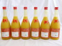 6本セット ミルクたっぷりマンゴーの梅酒 研醸 720ml×6本(4)