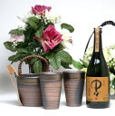 豪華酒器セット陶芸作家 安藤嘉規作(黒木本店 大麦焼酎 中々 25度 720ml)