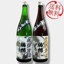 日本酒 飲み比べ 梅錦 風神雷神セット 送料無料 専用化粧箱入り※北海道・沖縄・離島は送料無料対象外 愛媛 地酒 贈り物 お歳暮 お年賀 ギフト プレゼント 誕生日 贈り物 お祝い ラッピング無料 お中元 夏ギフト