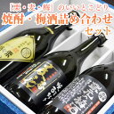 送料無料 焼酎 梅酒詰め合わせセット 栗々坊主・麦番長・蔵元の梅酒 北海道・沖縄・離島は送料無料対象外 ラッピング無料 お中元 愛媛 地酒 贈り物 お歳暮 お年賀 ギフト プレゼント 誕生日 贈…