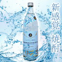 ¤ ܳ ͥޥ磻Ź 900ml ΤΤ֥롼٥ ɲ ϼ £ʪ  ǯ ե ץ쥼 ...