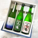  石鎚 日本酒 セット 無濾過純米 山田錦50 緑ラベル 飲み比べ セット ギフト箱入り ※北海道・沖縄・離島は送料無料対象外 愛媛 地酒 贈り物 お歳暮 お年賀 ギフト プレゼント 誕生日 贈り物 お祝い ラッピング無料 お中元 夏ギフト