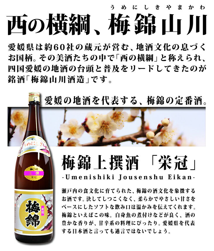 日本酒 セット 地酒 龍神・上撰「栄冠」セット【送料無料】※北海道・沖縄・離島は送料無料対象外 愛媛 地酒 贈り物 お歳暮 お年賀 ギフト プレゼント 誕生日 贈り物 お祝い ラッピング無料 お中元 夏ギフト 奉納 神社 寺 上棟