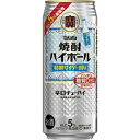 TaKaRa タカラ 焼酎ハイボール 5% 特製サイダー割り 500ml 24缶 1ケース 