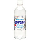 サンガリア 伊賀の天然水 強炭酸水 500ml 24本 1ケース 