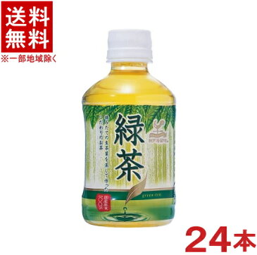 ［飲料］★送料無料★※神戸居留地　緑茶　280mlPET　1ケース24本入り　（300・350・ペットボトル）（お茶）（HOT・ホット販売可能商品）富永貿易