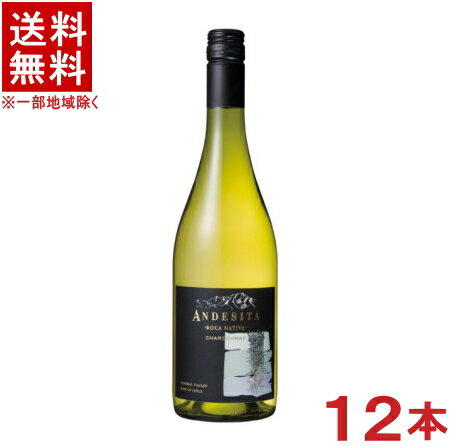 ［ワイン］★送料無料★※12本セット　ヴィーニャ・カサ・シルヴァ　アンデシータ　シャルドネ　白　750ml　12本　（1ケース12本入り）（チリ）（辛口）国分　【お取り寄せ】