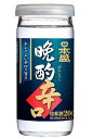 ［清酒・日本酒］2ケースまで同梱可★日本盛　晩酌辛口　200ml　1ケース30本入り　（カップ型・CUP）