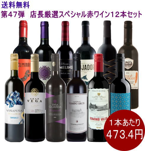 ★送料無料★※　◆第47弾◆　店長厳選スぺシャル赤ワイン　12本セット　（750ml×12本）（1セット12本入り）（ワインセット）