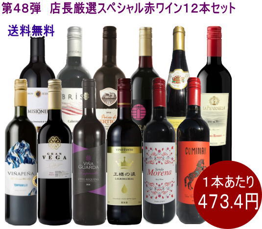 ★送料無料★※　第48弾　店長厳選スぺシャル赤ワイン　12本セット　（750ml×12本）（1セット12本入り）（ワインセット）