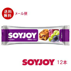 〔食品〕ソイジョイ3種のレーズン30g1ケース12本入り