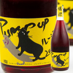 Yellow Magic Winery Pump up Rouge 2020 爆泡 750ml 【イエローマジックワイナリー：山形】【クール便指定】