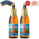 芋焼酎 セット 佐多岬 さたみさき 25度 1800ml×2本 大海酒造 いも焼酎 鹿児島 焼酎 酒 お酒 ギフト 一升瓶 母の日 父の日 退職祝 お祝い 宅飲み 家飲み 父の日ギフト対応