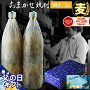 父の日 早割 クーポン 5/30(金)〜最大300円OFF/ 麦焼酎